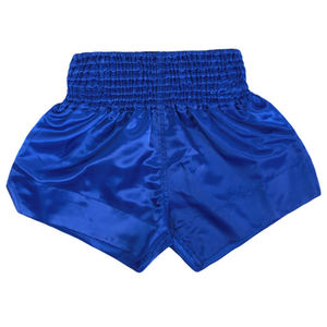 Vêtements de sport de haute qualité Short de couleur bleue uni Personnalisé pour hommes Muay Thai Mma Shorts Kickboxing Boxing Fight UFC Shorts - Product Image 1