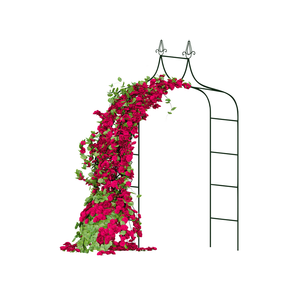 Arco de Jardín Metálico de 240 cm para Rosas, Flores y Ramas para Uso en Plantas - Product Image 5