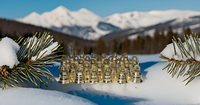 1 pouce H Lot de cloches décoratives en laiton éléphant chameau moderne indien artisanat cloches en laiton éléphant vache chameau décor cloches style vintage