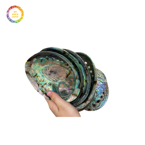 Concha de abulón al por mayor precio asequible proveedor a granel pulido Arco Iris Concha brillante superficie duradera ampliamente utilizado en artesanía - Product Image 4