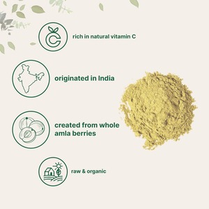 Vente en gros de poudre d'amla biologique 100% pure personnalisée de haute qualité poudre d'amla naturelle de qualité alimentaire au meilleur prix de l'Inde - Product Image 2