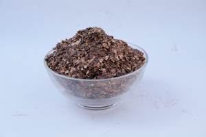 ข้อเสนอสุดพิเศษ 5/2024 HUSK เม็ดมะม่วงราคาถูกพร้อมฝักขนาดใหญ่จากเวียดนามโปรโมชั่นสําหรับลูกค้าใหม่ - Product Image 3