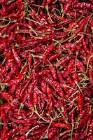 Piment séché de l'usine dirigée au Vietnam/Piment rouge séché aux épices simples de haute qualité