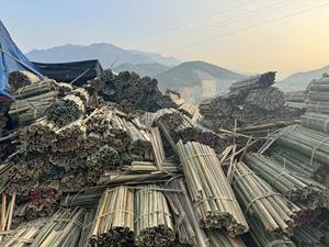 Poteau en bambou à fentes très demandé pour projets de construction artisanale, de charpente et de soutien – Origine Vietnam - Product Image 6