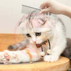 Peines de aseo de acero inoxidable de uso diario de calidad superior | Peine DE ASEO personalizado para perros y gatos al por mayor - Product Image 5