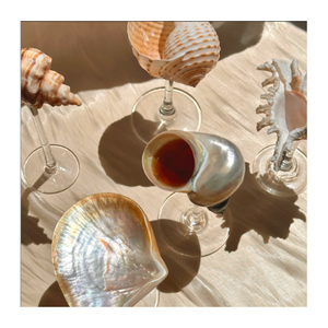 Seashell Glasses Vietnam Blown Glass with Hand-Applied Shell Accents for Beach-Inspired Settings - Product Image 2