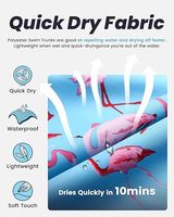 Maillots de bain amusants pour hommes, séchage rapide, doublure en mesh, OEM, avec motif imprimé, shorts de bain anti-bactériens, imperméables