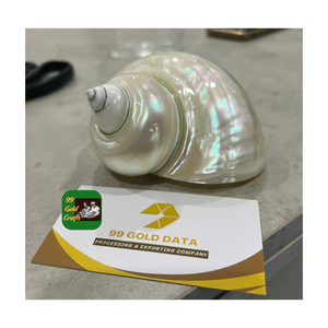 Servilletero de concha marina natural hecho a mano en Vietnam decoración de mesa para banquete fiesta boda hogar comedor uso - Product Image 1