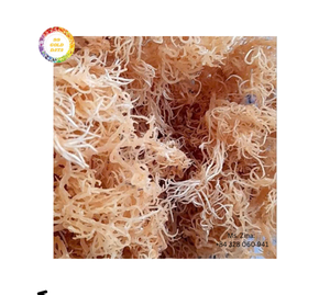 Mousse de mer crue biologique de haute qualité 100% en grande quantité séchée avec le processus AD Nouveau modèle Emballage de sac du Vietnam à bon prix - Product Image 3