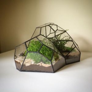 Nouveau jardinière en verre de Terrarium fini noir pour la décoration de jardin jardinière de Terrarium pour la décoration intérieure et extérieure - Product Image 1