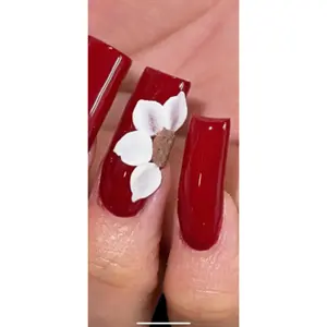 A.G.A 4 oz Ensemble de poudre acrylique blanche de haute qualité pour l'art des ongles Couverture rose Numéro de modèle Fabriqué à partir de matériau EMA - Product Image 3