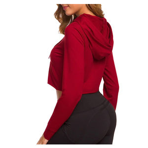 2025 Logo personnalisé dames pull à capuche haute qualité à manches longues haut court avec capuche pour Fitness tricoté conception de vêtements d'hiver - Product Image 4