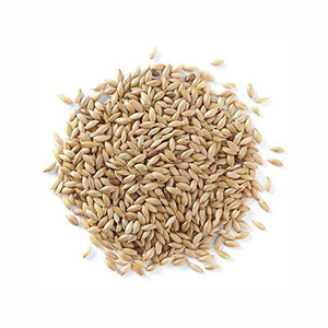 Sementes de canários para alimentos de pássaros Compre por atacado sementes de canários orgânicas/sementes de canários para venda em massa, nova colheita, sementes de canários de venda quente/Q