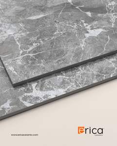 Carreaux gris riesling de haute qualité Design antidérapant pour bureau moderne, hôtel, appartements, villas en Inde pour murs extérieurs - Product Image 2