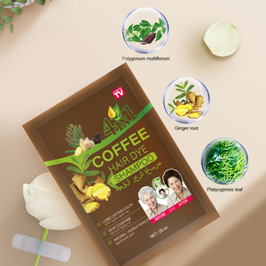 PLOG Shampoo Colorante Istantaneo 20ml - Caffè, Formula allo Zenzero Vegetale Senza Irritazioni Personalizzabile OEM - Product Image 3