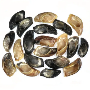 Huesos Masticables Naturales de Búfalo para Perros - Alimento con Alto Contenido de Proteínas, Vitaminas y Minerales, Ecológico, Seco, 3 Años de Duración, Mejor Calidad - Product Image 5