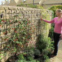 Enrejado de Jardín Decorativo de Hierro Ecológico Vintage con Acabado en Polvo Personalizable para Rosas Trepadoras y Vegetales - Duradero