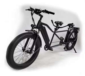 Bicicleta Eléctrica con Cuadro de Aluminio, Frenos de Disco, 12 Velocidades, Batería de Litio de Potencia Mejorada para Aventuras en Doble Asiento - Product Image 1