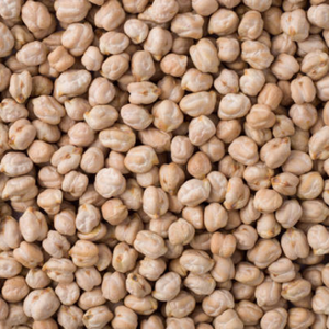 Pois chiches Desi séchés naturels Noir Gram du Bengale Nettoyé Entier Maharashtra Produit Biologique Certifié Sacs de 50kg - Product Image 5