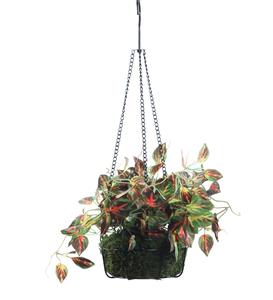 Panier de fleurs suspendu en métal vert de luxe pour décor de fenêtre extérieure Pot de jardin pour plantes fleurs fabriqué en Inde en gros - Product Image 1