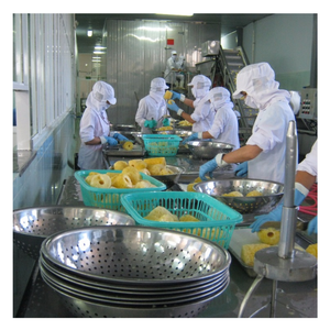 Ananas congelé du Vietnam-Technologie de congélation rapide pour la serrure de saveur, idéale pour la distribution mondiale-Du Viet Nam - Product Image 3