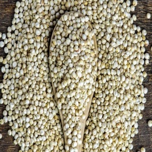Dried sweet sorghum grains Sorghum seed for food processing Whole <b>millet</b> for sale Sweet sorghum grains for feed For Sale - Product Image 4