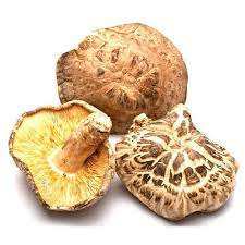 Hongo seco seta shiitake deshidratada a la venta - Product Image 4