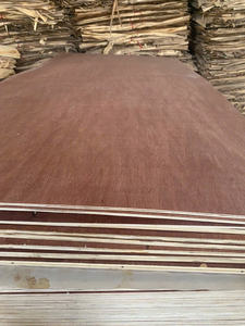 Premium Bintangor Face Plywood Sheet Vietnam Manufacturer - Product Image 3