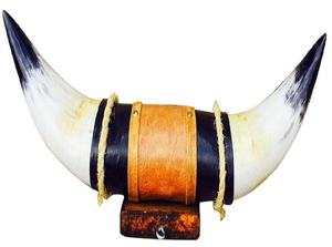 Decoración de pared de par de búfalo y vaca montada en la pared de cuerno de animal pulido moderno - Product Image 3