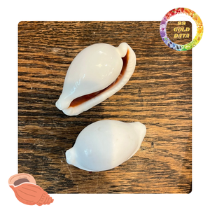 เปลือกไข่วัวจากเวียดนาม | การทำเครื่องประดับแบบ DIY และของตกแต่งบ้าน | มีสินค้าในสต๊อก - Product Image 6