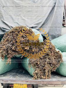 Sargasses non lavées de couleur brune, meilleur prix, algues sargasses séchées pour l'alimentation animale en provenance du Vietnam - Product Image 4