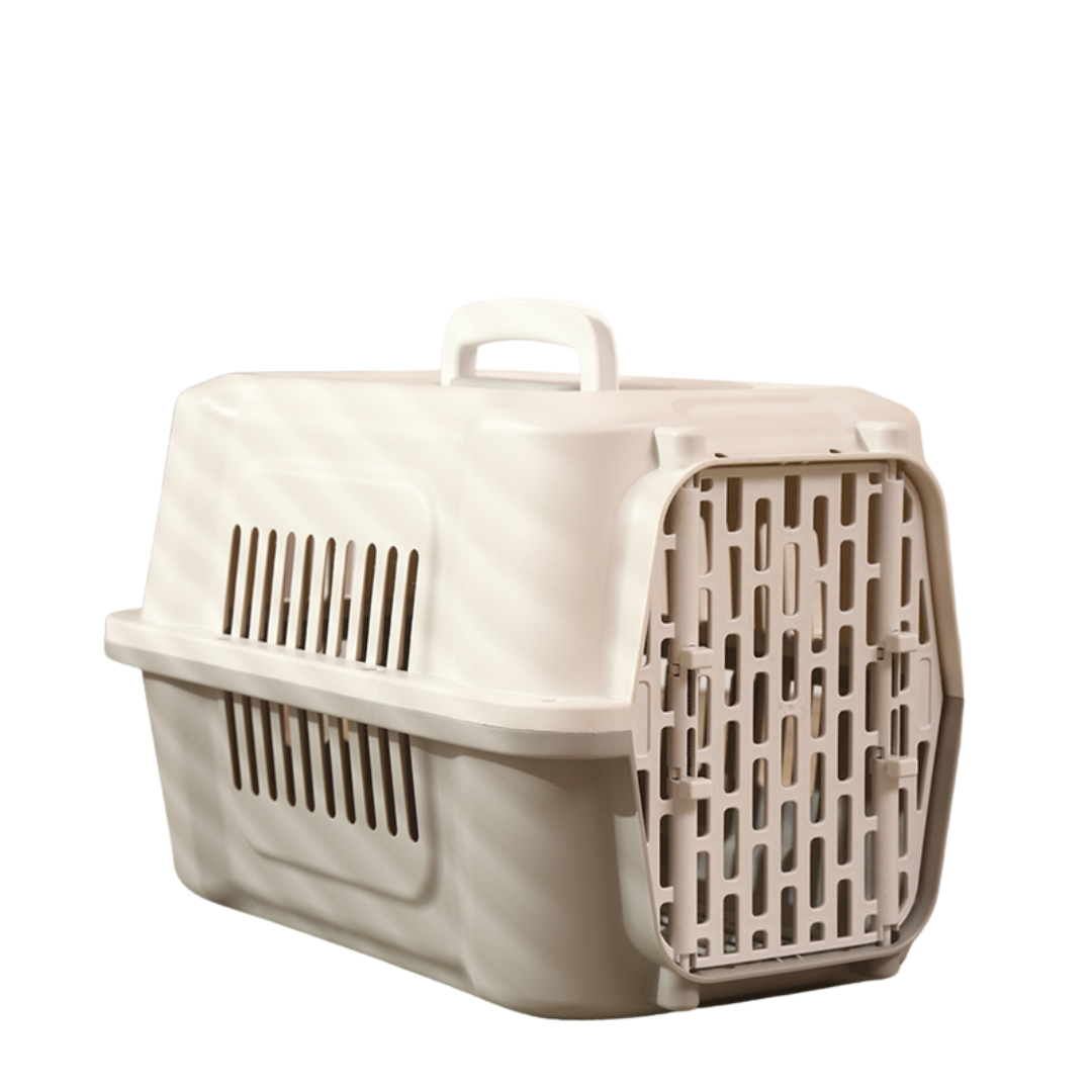 สีเทาอ่อน