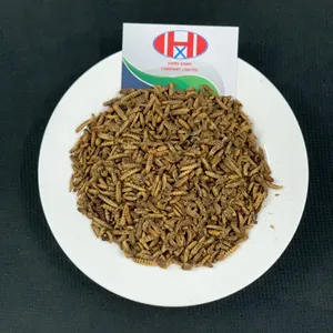 HOT SALE DRIED BLACK SOLDIER FLY LARVAE IN NEW HARVEST - VI HUYNH ( +84 911 695 402)