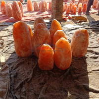 Lampes de table en sel de l'Himalaya naturel de 100 kg et 300 kg, qualité supérieure, toucher réel, purificateur d'air, Feng Shui, fabrication directe JOBAK