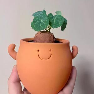 Leuke kleurveranderende keramische plantenbak met smiley-design - kleine cartoon bloempot voor huisdecoratie - Product Image 6