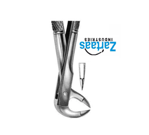 คีมสกัดสแตนเลสสำหรับแยกฟันกรามล่างรูปผู้ส่งออก91และผู้ผลิต - Product Image 2