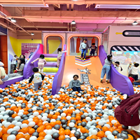 Équipement de parc d'aventure intérieur commercial : Mur d'escalade, système d'escalade automatique, toboggan géant, solution pour centre de divertissement familial