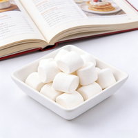 Bombes de chocolat chaud et chocolat fondu certifiés Halal, emballées individuellement, avec guimauves blanches super moelleuses