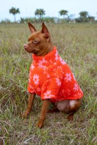 Luxury Thick Red <b>Fleece</b> Pullover for Dogs-Modern Spring/Winter Apparel with Eco-Friendly Design for Fall & <b>Christmas</b> Holidays - Product Image 2