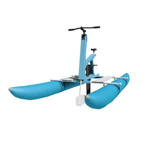 물 놀이 장비 바다 물 보트 합금 페달 자전거 플로팅 풍선 물 자전거