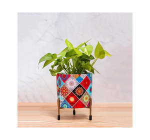 Maceta de Metal contemporánea con soporte elevado, elegante, para el hogar, oficina, balcón, jardín, espacio, maceta, maceta, acabado recubierto de polvo - Product Image 1