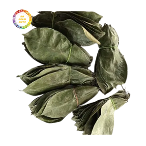 Hojas de Guanábana Secas a Granel, Hojas de Annona Muricata para Exportación - Product Image 1