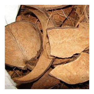 Suministro directo de fábrica de cáscara cruda de Coco para carbón, artesanía creativa, decoración del hogar y el Jardín-Pedidos a granel flexibles disponibles - Product Image 5