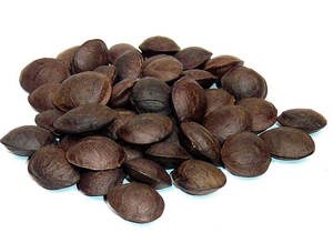 Vente en gros de sacha inchi aromatisé noix fromage chocolat café et revêtements salés de fournisseur vietnamien - Product Image 6