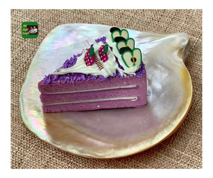 Plaque de nacre de luxe faite à la main nacre décorative coquille plat bijoux naturels plateau fête de mariage décoration de la maison - Product Image 1