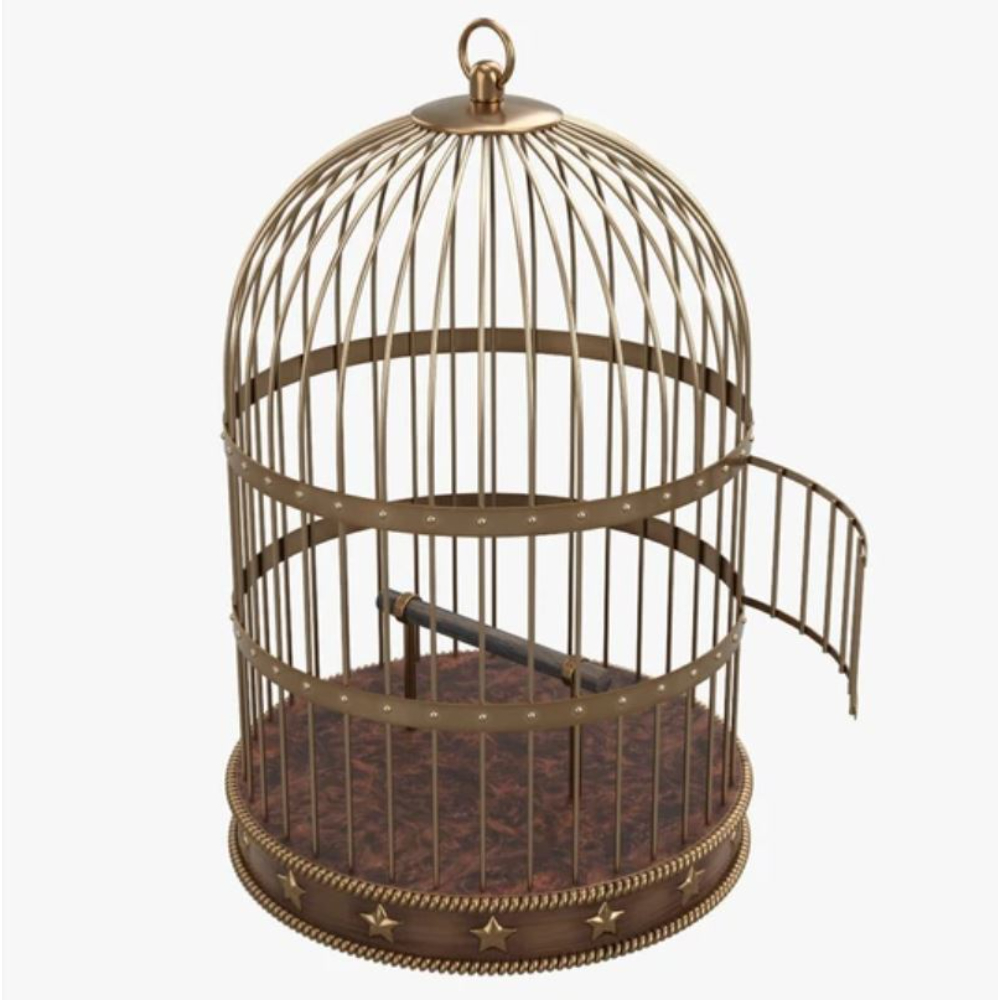 bird cages for table