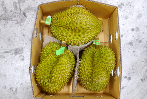 ทุเรียนและผักแช่แข็งแบบพรีเมียม - Product Image 6