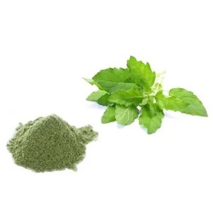 อาหารเสริมผงจากพืชสกัดจากใบโหระพาศักดิ์สิทธิ์สำหรับลดความเครียดความชัดเจนทางจิตและเพิ่มภูมิคุ้มกัน - Product Image 3