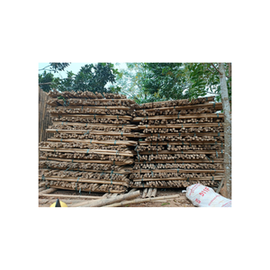 Tube de poteaux en bambou du Vietnam pour la construction et l'aménagement paysager Tube de poteau en bambou durable et durable - Product Image 6