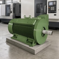 Moteur triphasé AC haute tension WPDJ Y2-4004-2 500KW 6KV 2985RPM pour machine-outil certifié CE